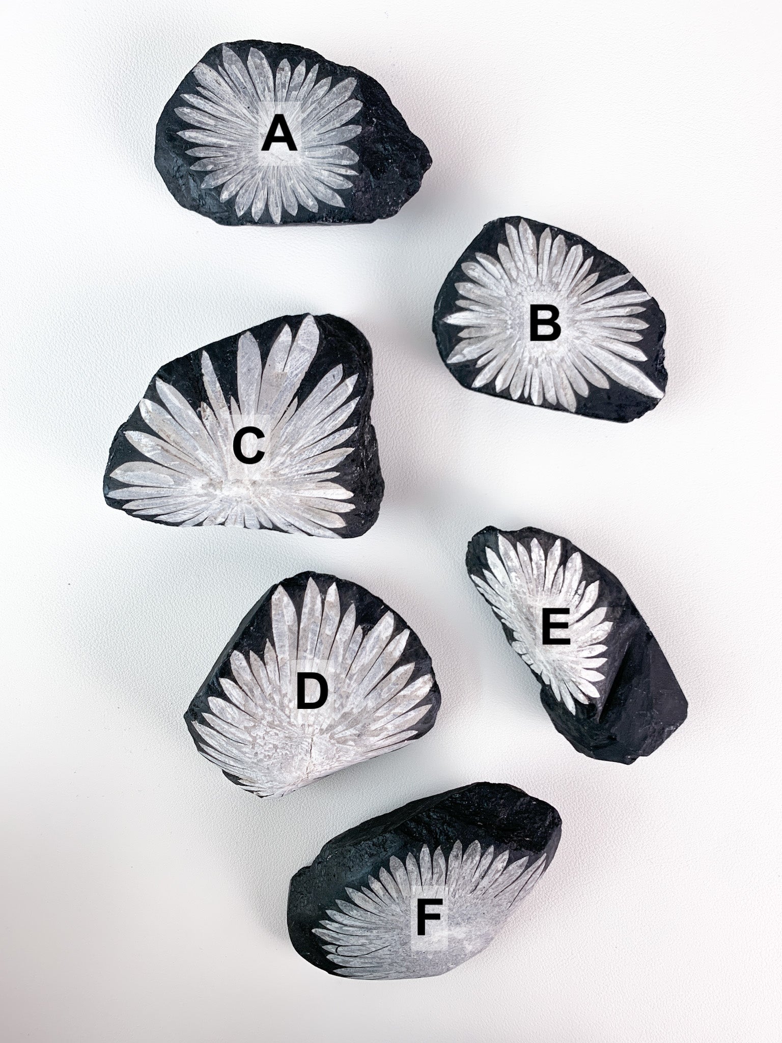 The Crystal Reserve / Healing Crystals Los Angeles Crystal The Crystal Reserve / Healing Crystals Los Angeles Crystal