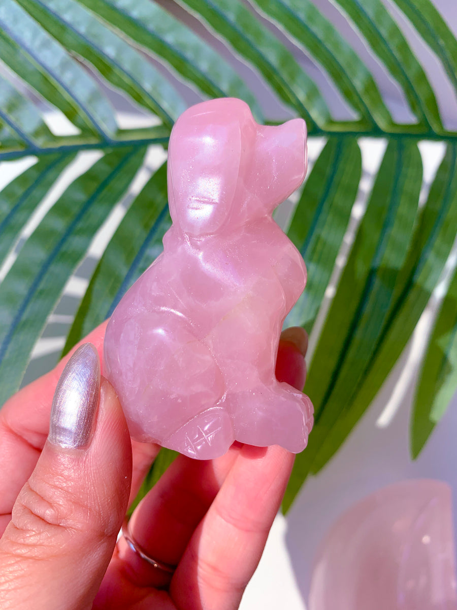 Rose Quartz Puppy