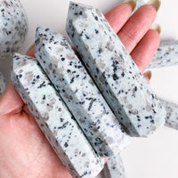 Kiwi Jasper Points