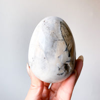 Ocean Jasper Egg