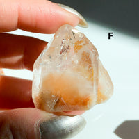 Orange Amphibole Quartz Mini Points